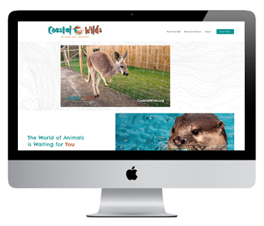 Coastal Wilds Kangaroo Yoga