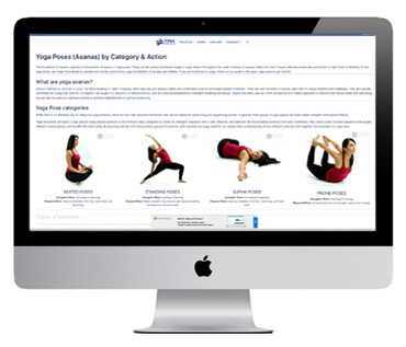 Yoga Basics